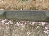 image of grave number 684282